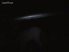 In order to get screwed by a hung donkey, a guy sneaks into a farmyard at night.